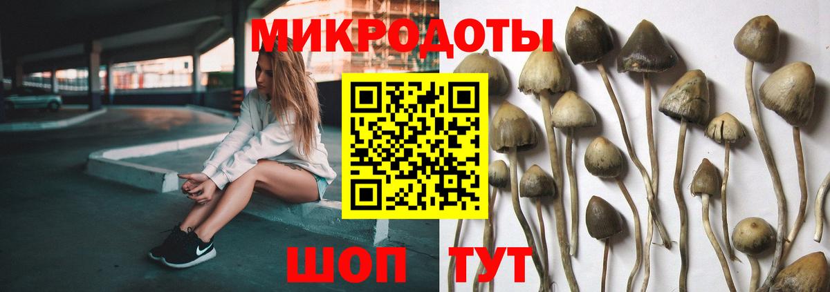 Галлюциногенные грибы ЛСД  Псилоцибиновые грибы Psilocybe  Вход с VPN  Челябинск 